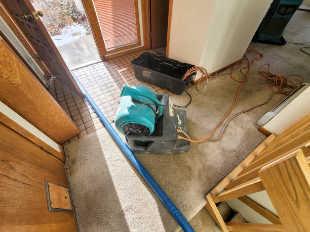 Best Water damage restoration near me  in Lawrence, MA