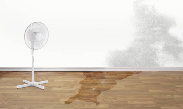 Best Local water damage restoration  in Lawrence, MA