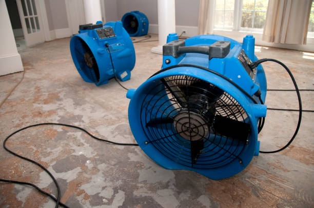 Best Flooded house restoration  in Lawrence, MA