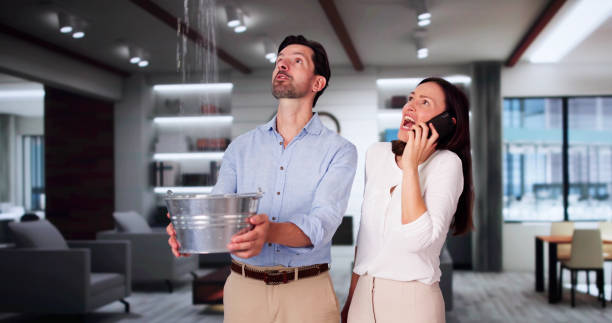 Best Water damage cleanup near me  in Lawrence, MA