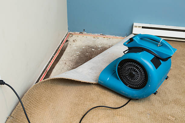 Best Water damage contractors near me  in Lawrence, MA